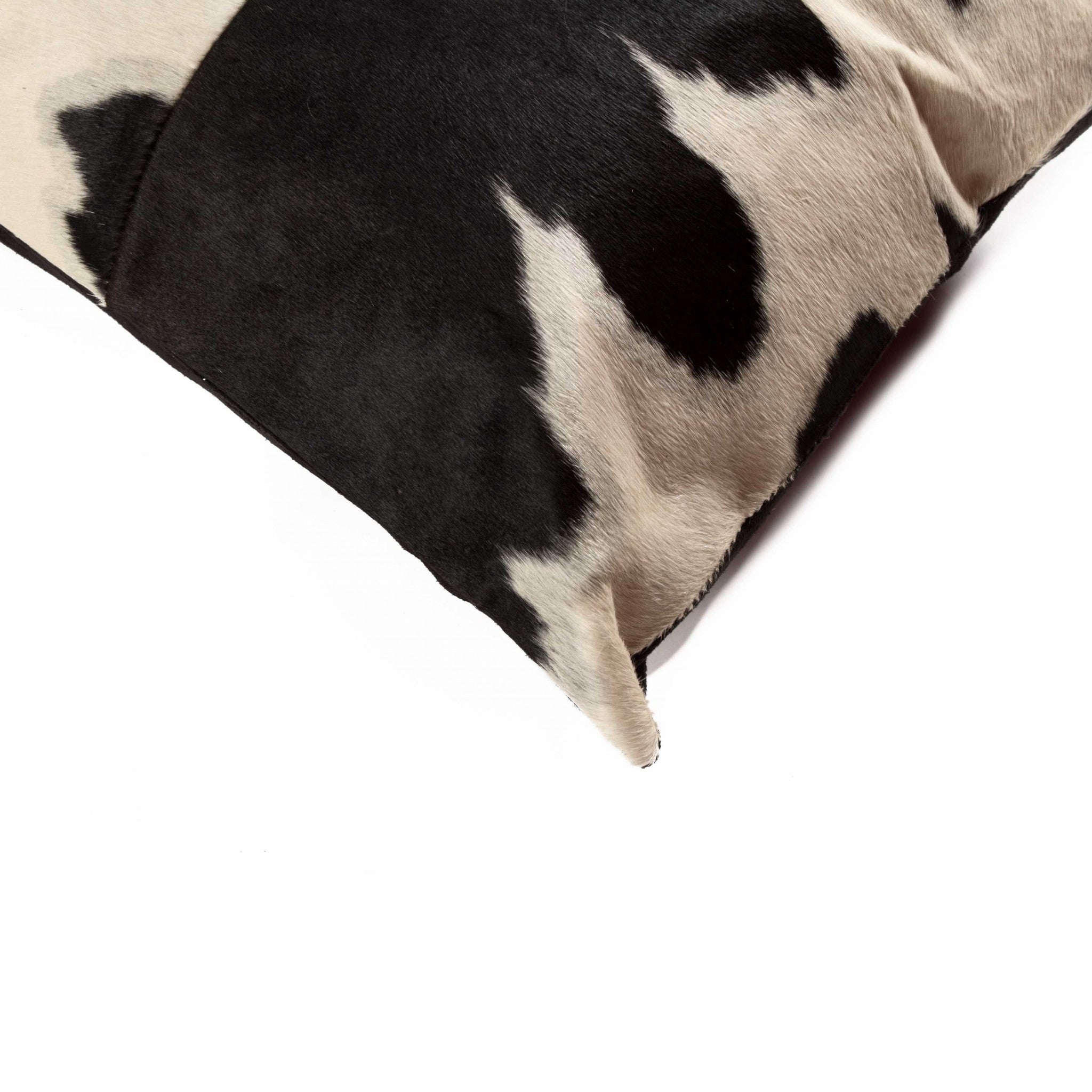 18 X 18 X 5 Black And White Quattro  Pillow