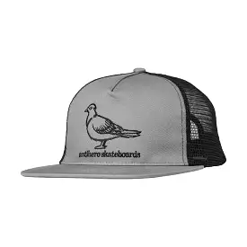 Anti Hero Basic Pigeon Adjustable Snapback Silver/Black