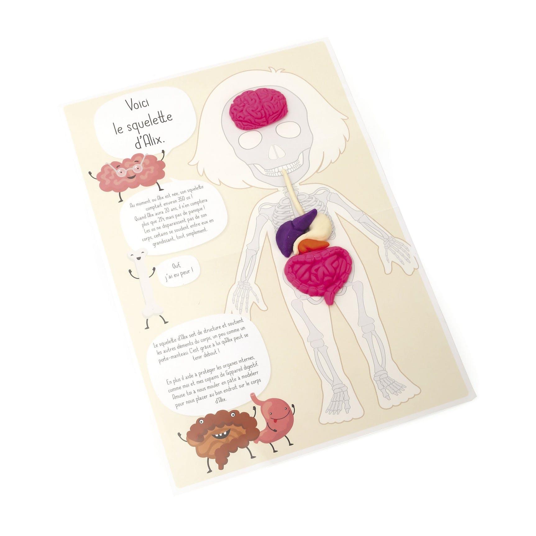 DIY - KIT MOULAGE EDUCATIF ANATOMIE