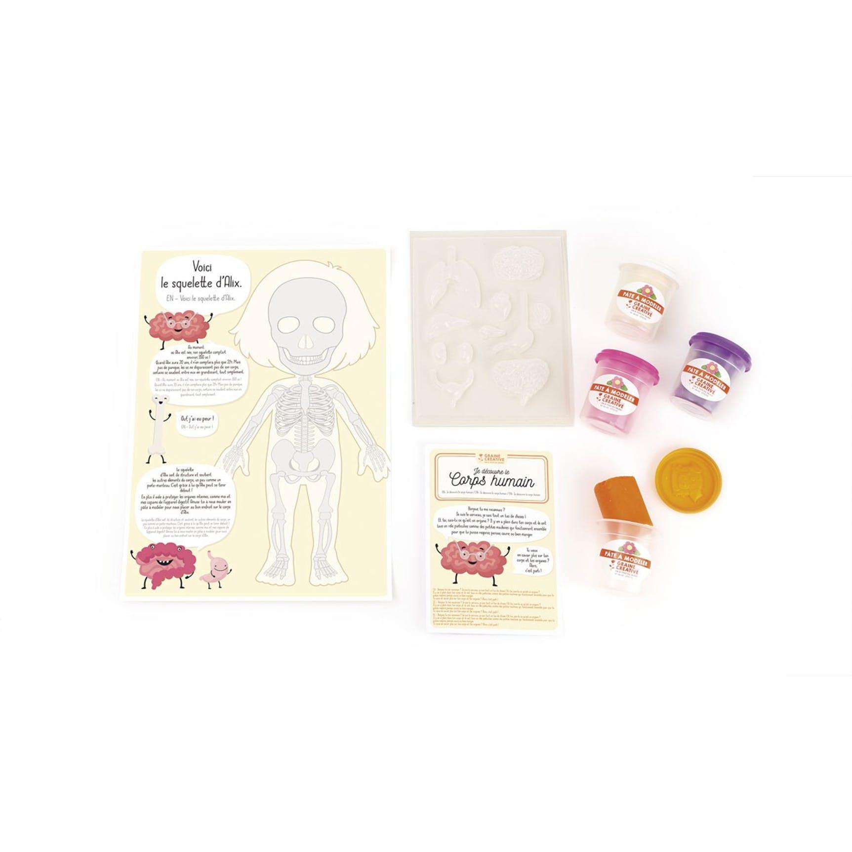 DIY - KIT MOULAGE EDUCATIF ANATOMIE