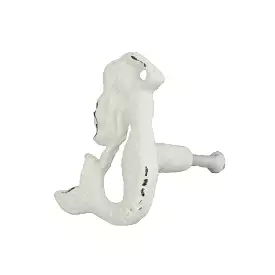 Mermaid Knob - Antique White